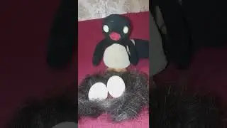 В гнезде не хозяйка
