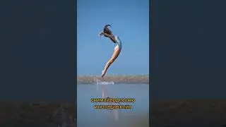 TOP TIKTOK ( DIZAYNER - LOVE ME)