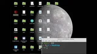 Wezom. Python course. Урок 1
