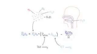 Alveolar gas equation