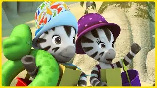 Лето Зу | Новый сборник 1 час | Зу на русском 🦓 | Мультфильмы