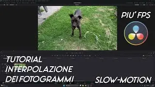 Interpolazione dei fotogrammi - Aggiungere fps ad un video per lo Slow-Motion - DaVinci Tutorial