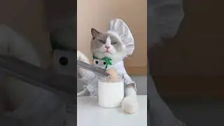 Sometimes it’s hard to decide what to believe 🥲 