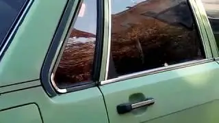 Audi 80 B2  1978-1986