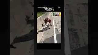 the ultimate Florida Man 