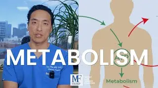 Metabolism and Weight Loss Surgery