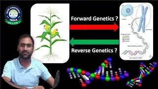 Forwrad and Reverse Genetics ? | Forward Genetics | क्या है Reverse Genetics