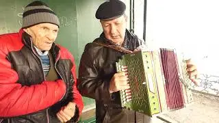 Гармонь и гармонист.
