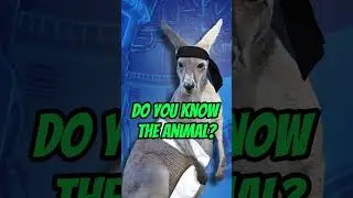 99.9% Can't Guess the Animal #shorts