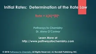Initial Rates Determination of the Rate Law