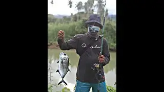Tarikan ikan besar di tepi sungai