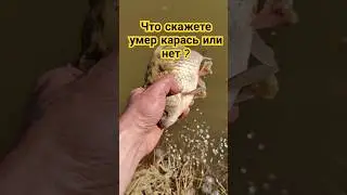 10 июня 2024 г.