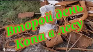 #Медь #Металл #Коп  Второй день копа на том же месте