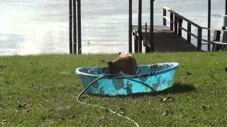 cooper playing in pool