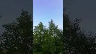 30 августа 2024 г.
