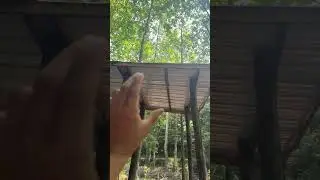 I messed up bad 
