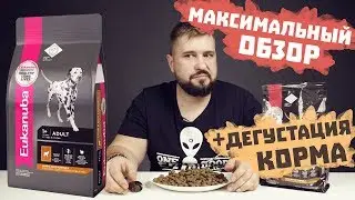 Eukanuba для собак | Сухой корм Эукануба для собак | Обзор корма