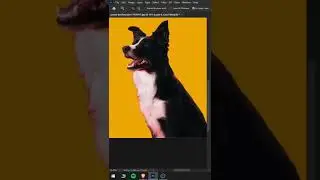 Smooth Selection in Photoshop 