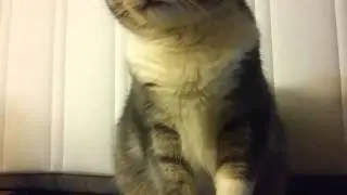 the effect of surprise Эффект неожиданности