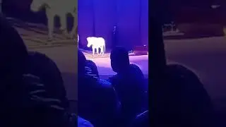 Тверь интересно