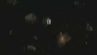 Stargate Atlantis Season 4 Preview