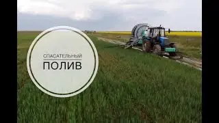 Спасаем пшеницу поливом | Дождевалка BAUER в работе