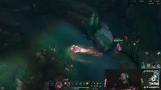 Kdo potřebuje smite?
