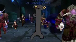 What the Hunter's Pet Doing ?