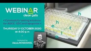 Clean Cells' Webinar - Cytotoxicity testing solutions for ADCC, CDC and apoptosis