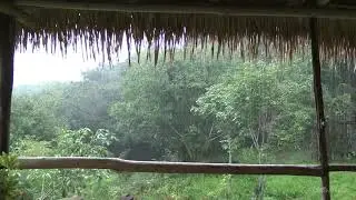 Sons de Chuva | Para dormir e relaxar - Sons relaxantes da natureza | Rain sound to sleep