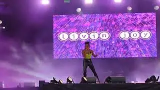 Livin' Joy feat. Luzahnn - Dreamer (Live) HD