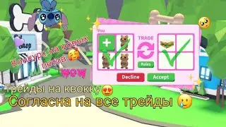 Трейды на квокку😍 Соглашаюсь на любой трейд😨