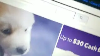 Vlog 2