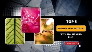 जबरजस्त फोटोग्राफी का ट्यूटोरियल | realme 9 pro plus camera test