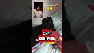 Остановите кошачий расизм 