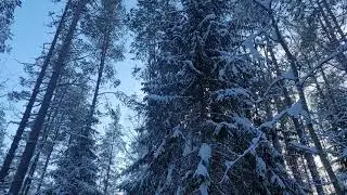 Не забывай, помни, реши и действуй! Новый 2023 и новый ты.