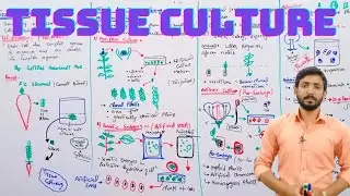 Tissue culture and its different techniques | Biology 12th | Chapter 23 | Lecture 13