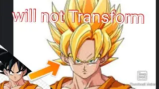 my base goku will not transform