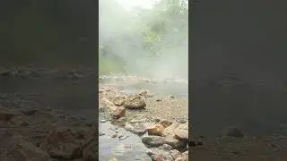 Mindful Minute | Fog on a Spring 🌫️ 741 Hz Cleansing & Intuition