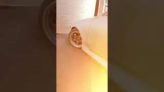 А как вы думаете?)) правда?