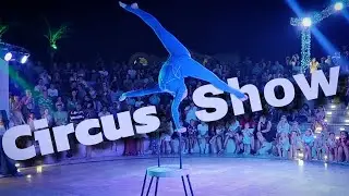 Circus Show 🤩 