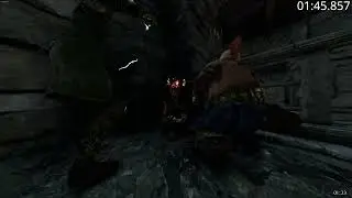 Blood in the Darkness in 4:43 | Vermintide 2 Any% Speedrun