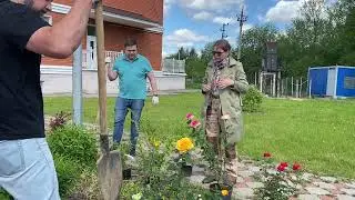 Акция Сад Мечты в Острове Надежды, Дмитров 2021
