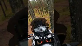 KTM 1090 R autumn ride | #shorts