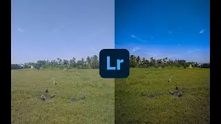 adobe lightroom tutorial   lightroom mobile photo editing   how to retouch photo