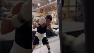 OSCAR VALDEZ - THROWING BEAUTIFUL HOOKS ON HEAVY BAG