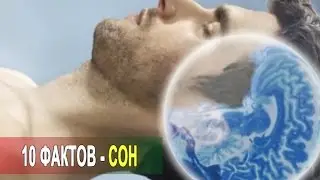 10 удивительных фактов о сне