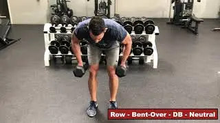 Row - Bent-Over - DB - Neutral | GRF Exercise Database