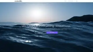 How to Customize Shapely WordPress Theme - Shapely Customization Tutorial