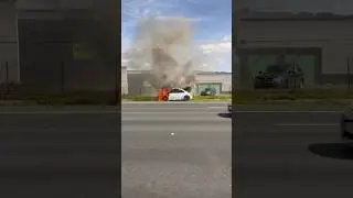 Guess what CAR caught on 🔥 